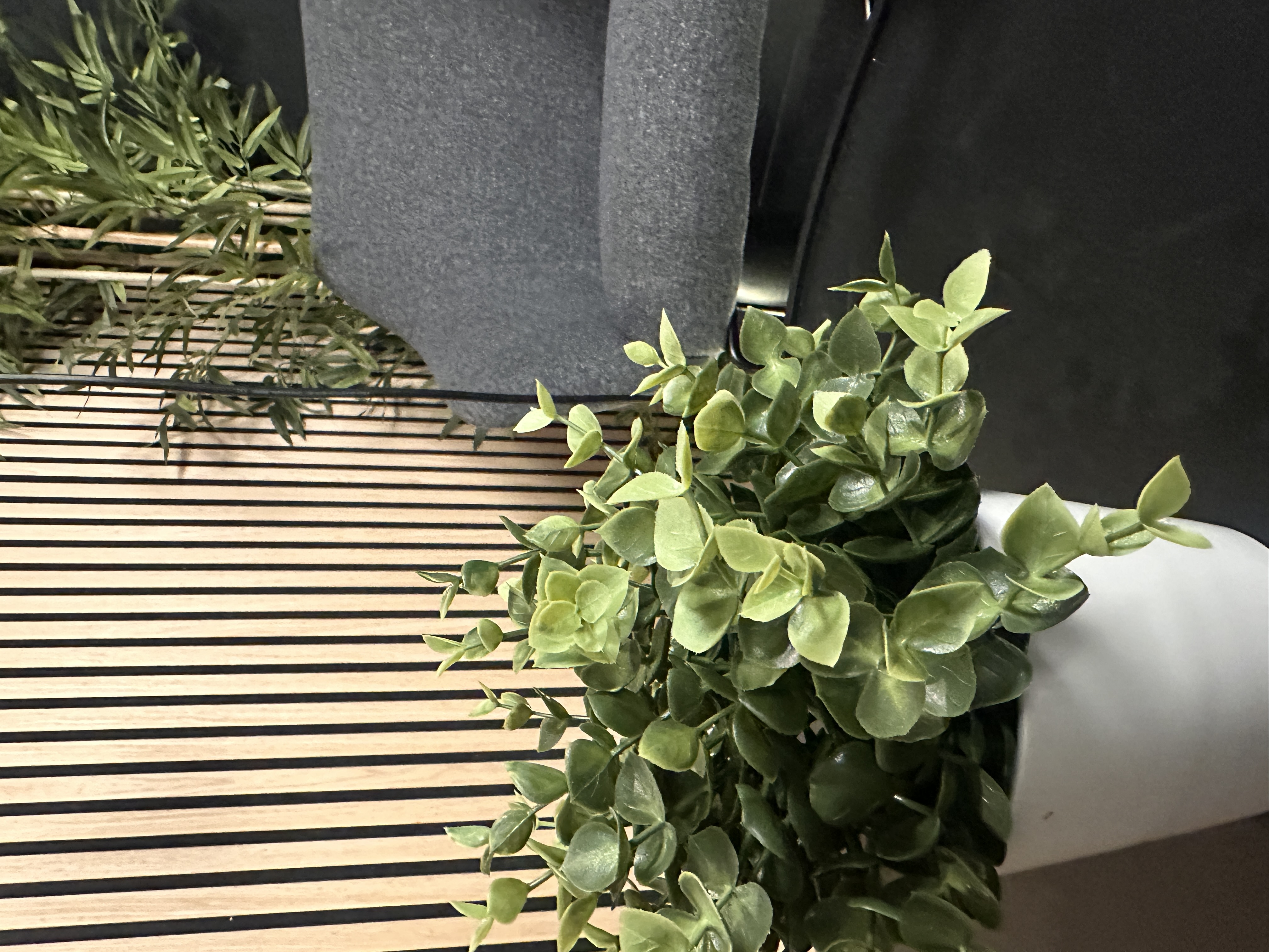 Studio greenery and acoustic panels