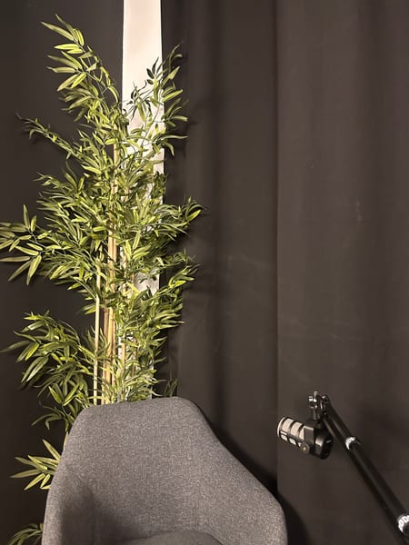 Recording corner with bamboo and microphone