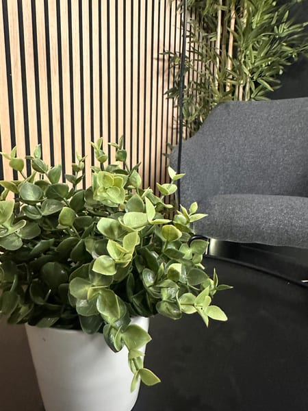 Studio greenery and acoustic panels